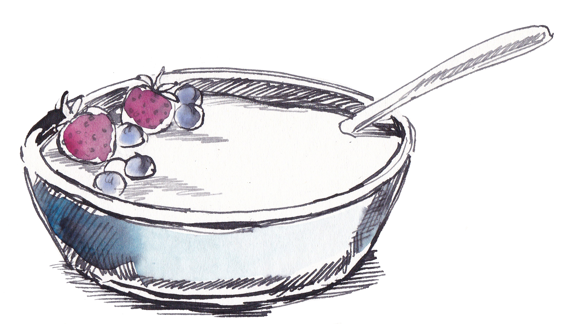 dairy illustration