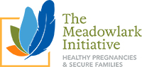 Meadowlark initiative Logo