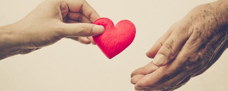 Palliative Care - St. Peter's Health