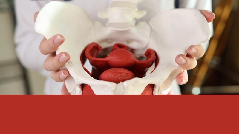 Pelvic Floor
