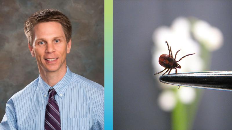 Dr. Bedell tick safety