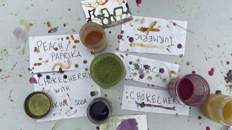 table covered in vegetable paints