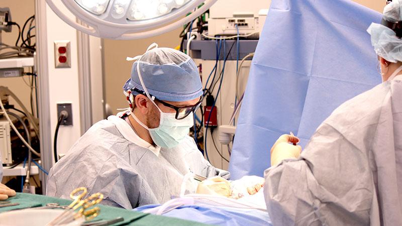 Dr. Stewart in surgery